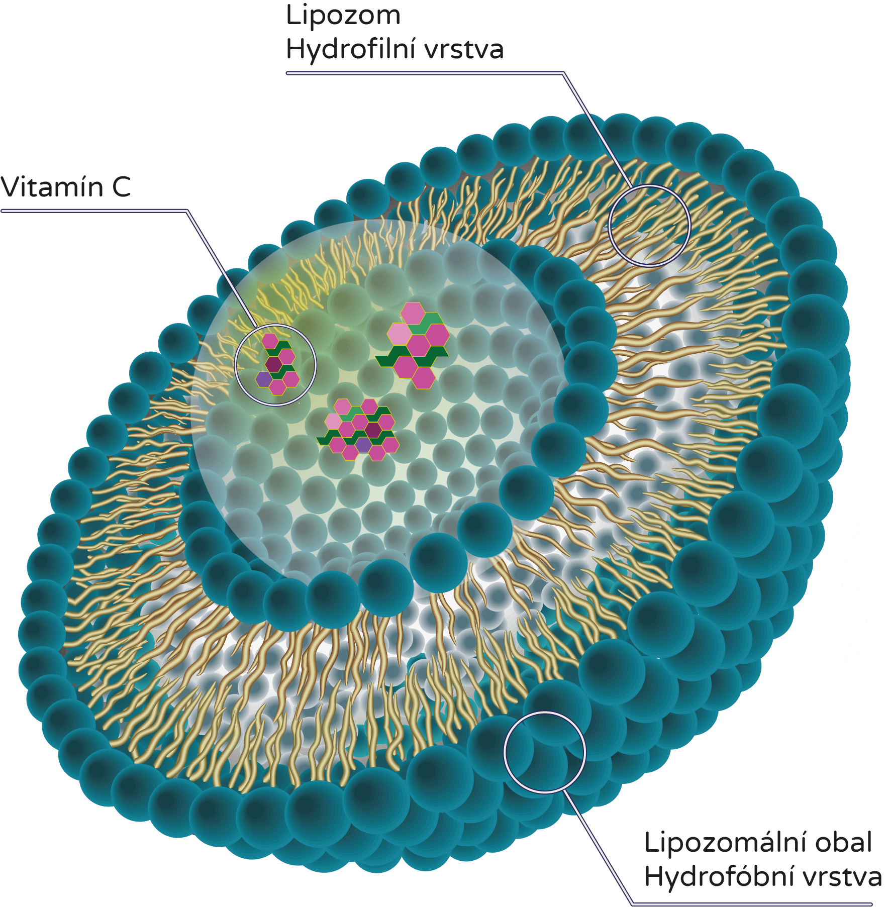BrainMax Liquid Liposomal Vitamin C, Tekutý Lipozomální Vitamín C, 200 ml Obrázek