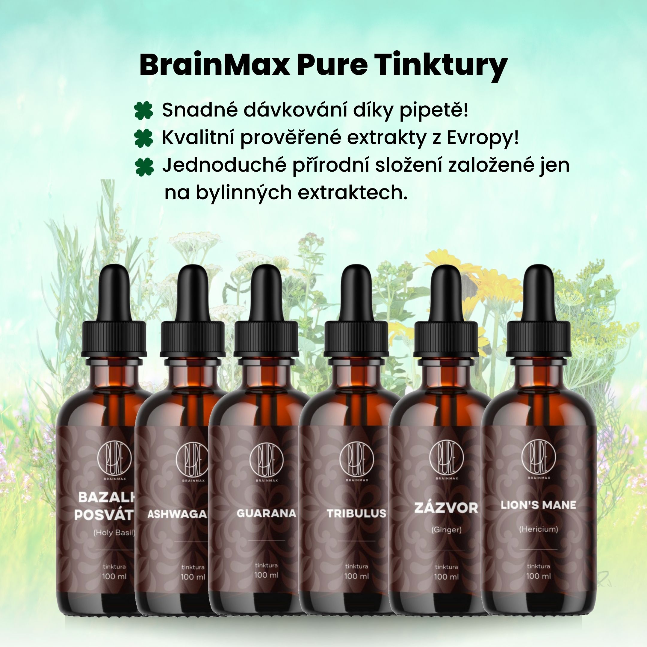 BrainMax Pure Reishi, tinktura 1:3, 100 ml Obrázek