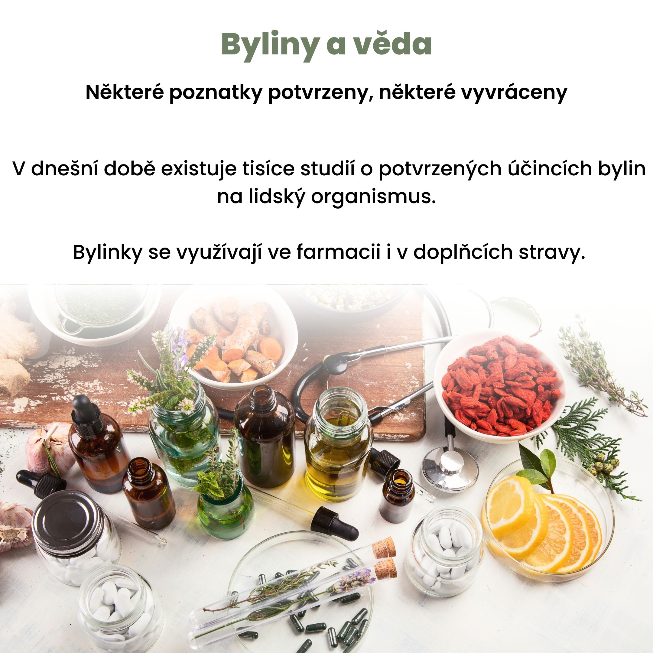 BrainMax Pure Gymnema tinktura 1:3, 100 ml Obrázek