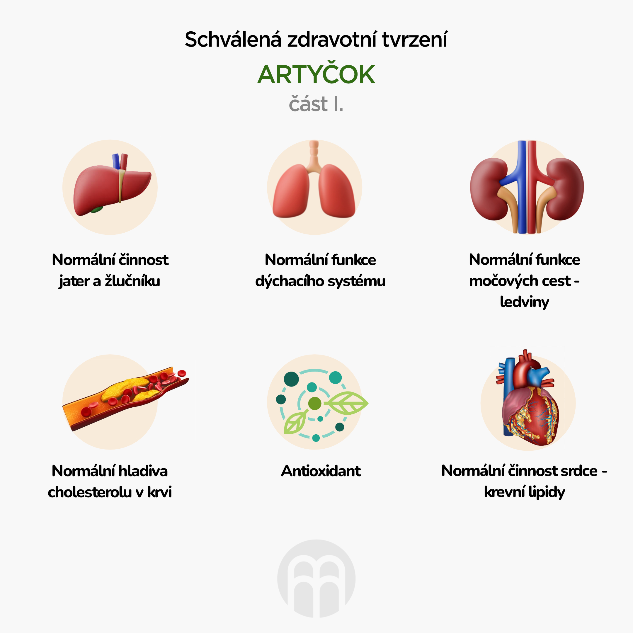 BrainMax Pure Artyčok listy tinktura 1:3, 100 ml Obrázek