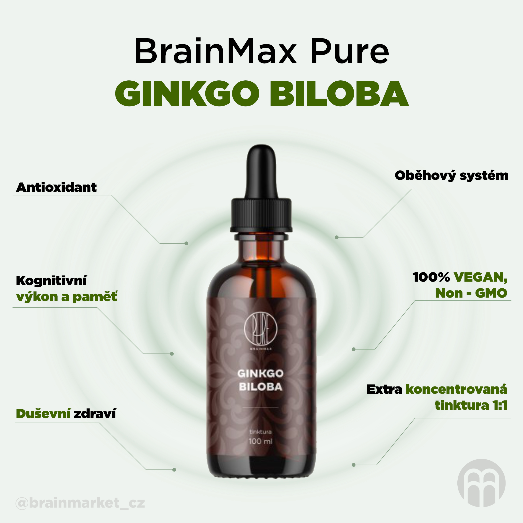BrainMax Pure Ginkgo Biloba tinktura 1:1, 100 ml Obrázek