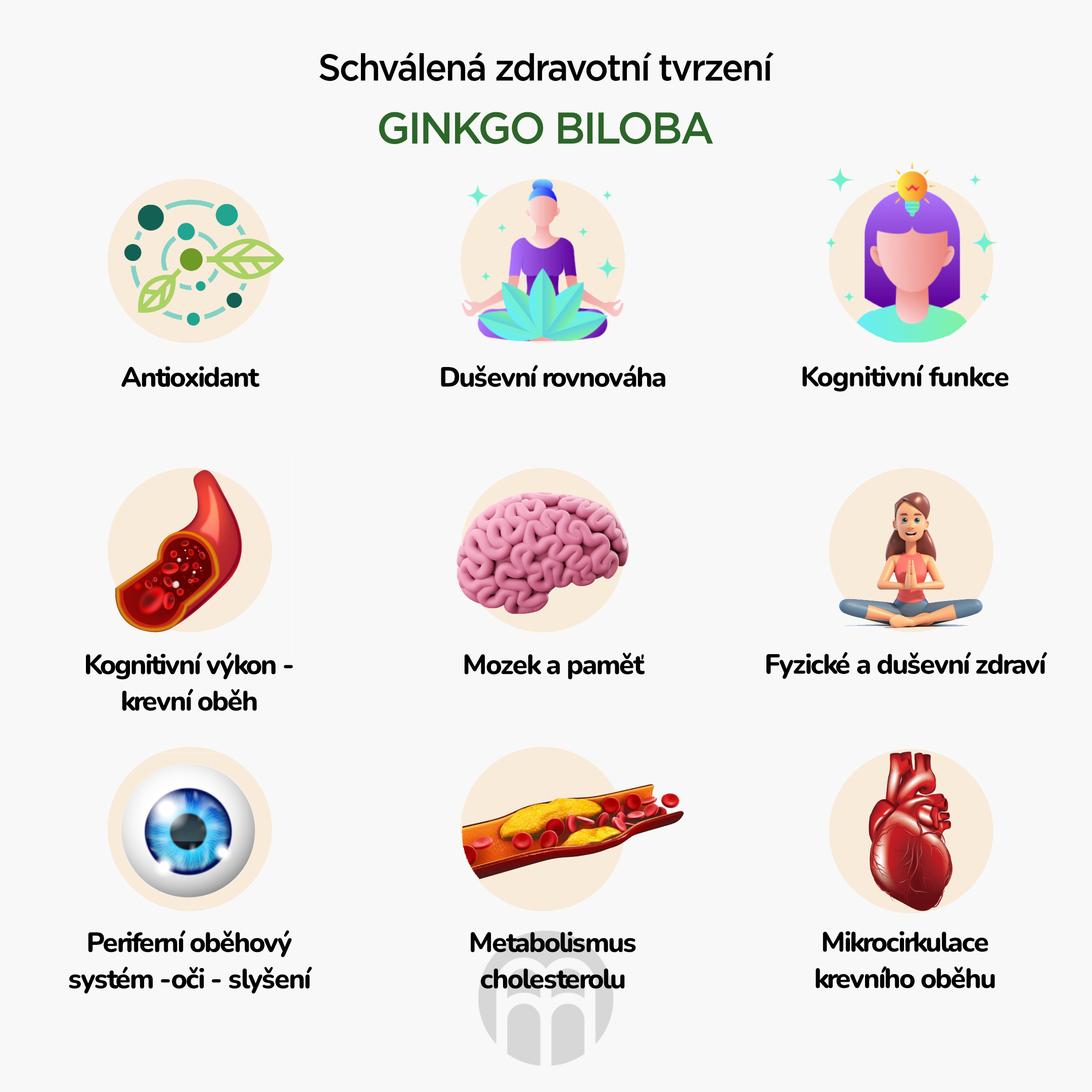 BrainMax Pure Ginkgo Biloba tinktura 1:1, 100 ml Obrázek