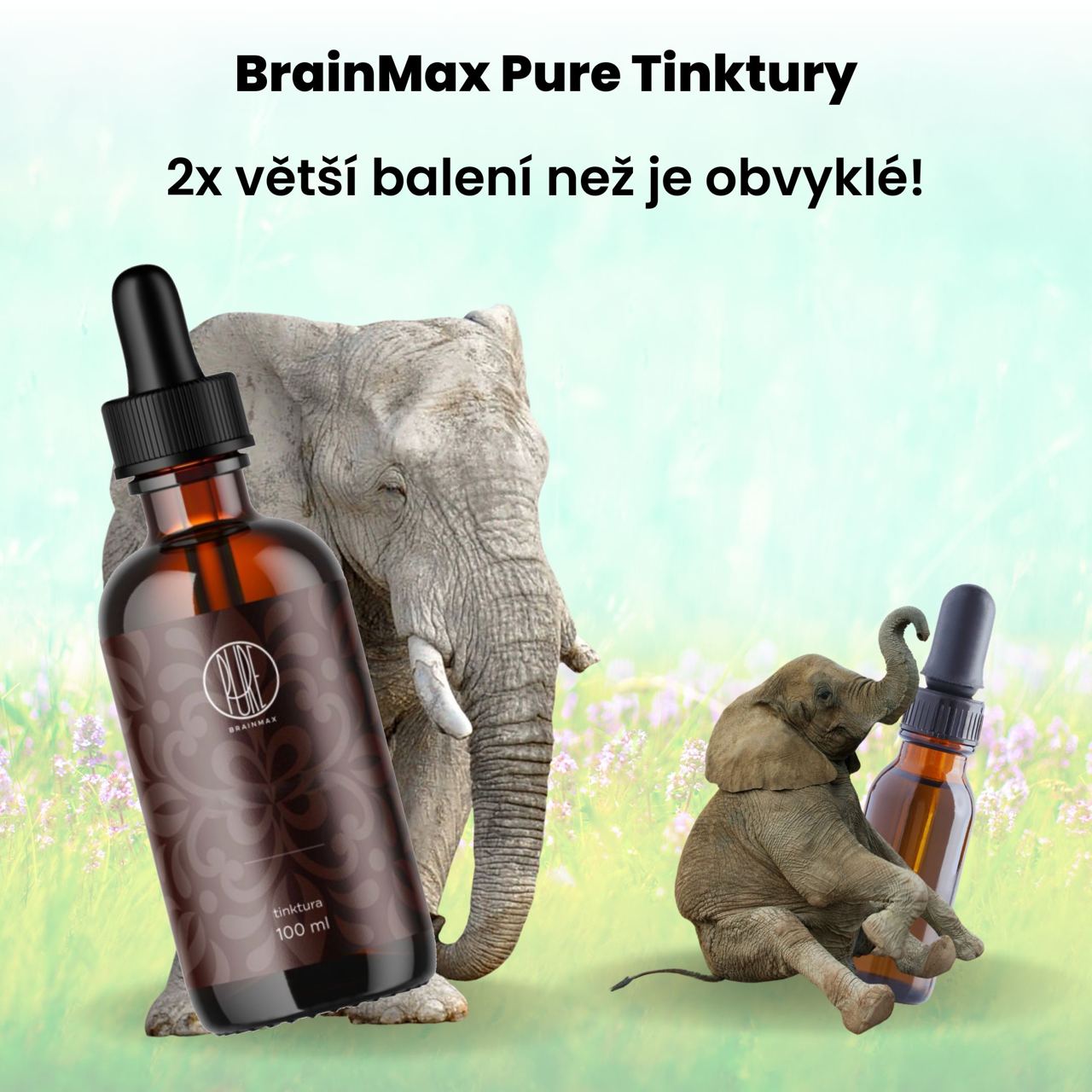 BrainMax Pure Ginkgo Biloba tinktura 1:1, 100 ml Obrázek
