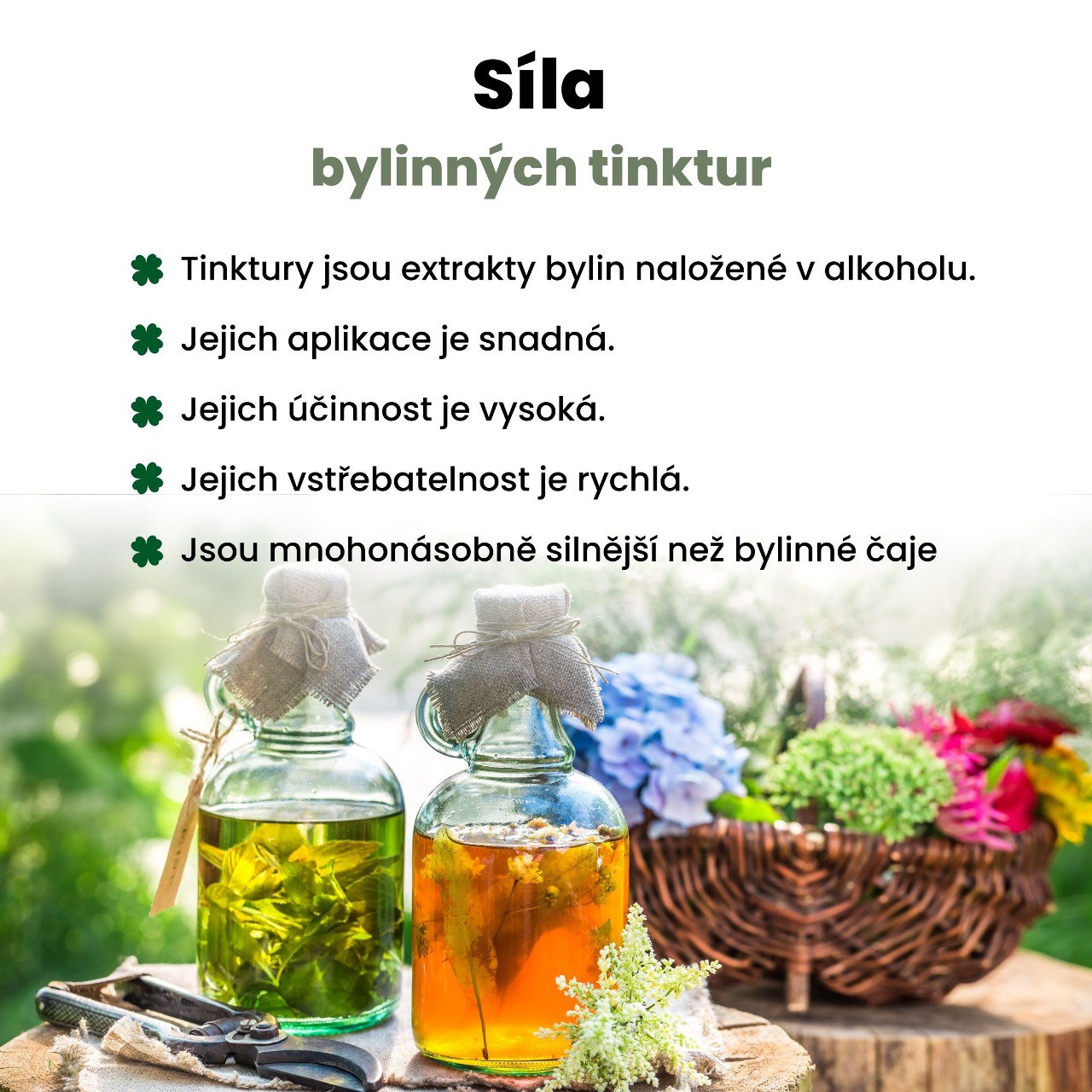 BrainMax Pure Ginkgo Biloba tinktura 1:1, 100 ml Obrázek
