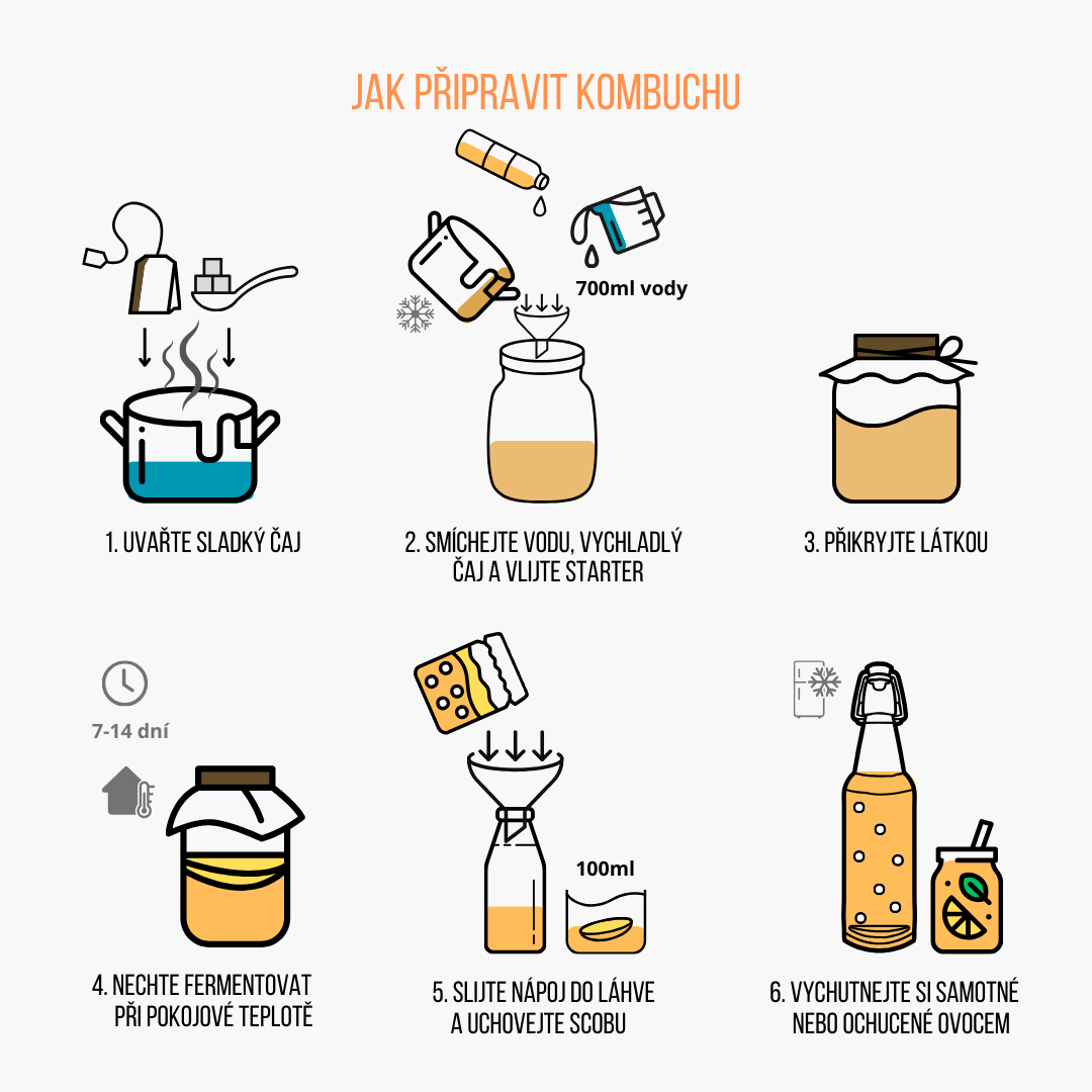 BrainMax Pure BrainMax Kombucha starter, BIO, 100 ml Obrázek