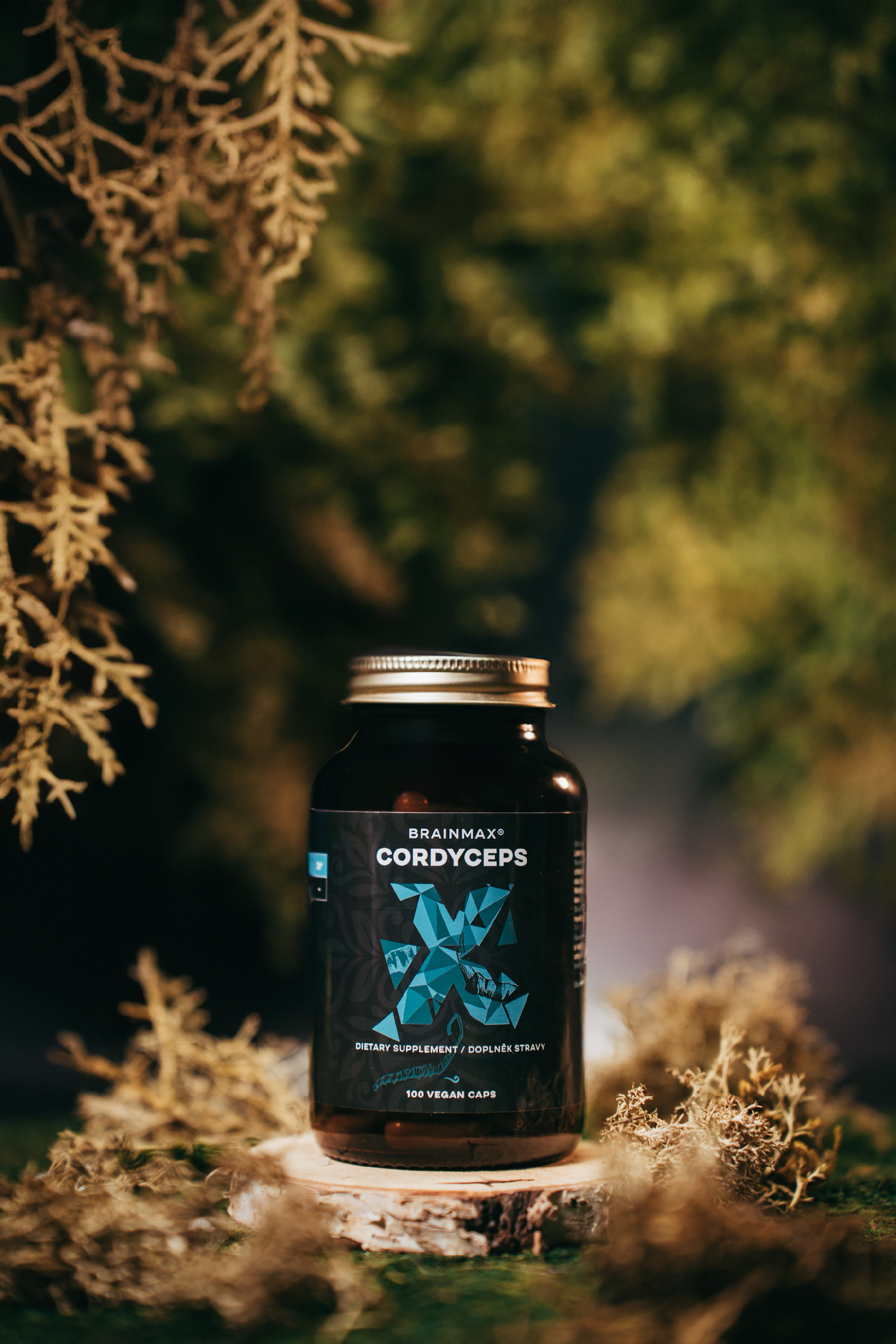 BrainMax Cordyceps extrakt, 50% koncentrace polysacharidů a 20 % β-1,3/1,6 D-glukanů, 500 mg, 100 rostlinných kapslí, 500 mg, 100 rostlinných kapslí Obrázek