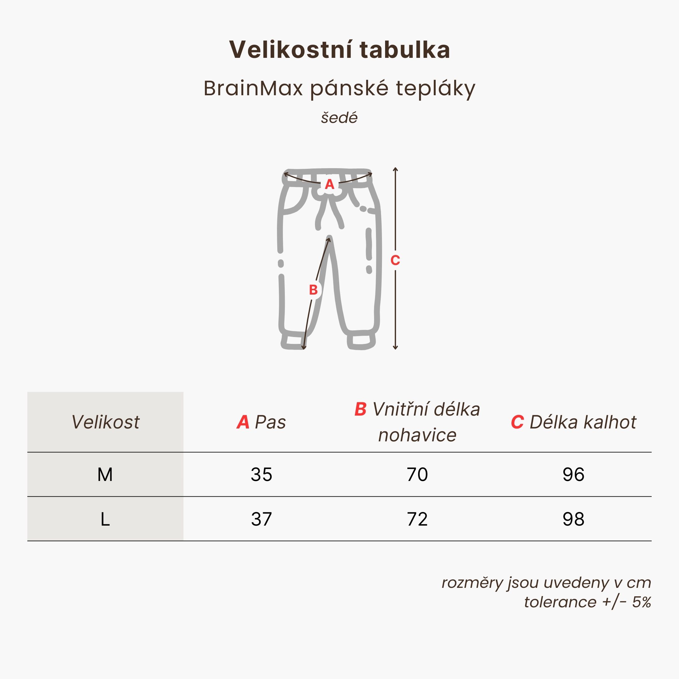 BrainMax pánské tepláky, šedé Velikost: M Obrázek