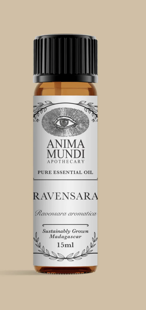 Levně Anima Mundi - esenciální olej, Ravensara, 15 ml