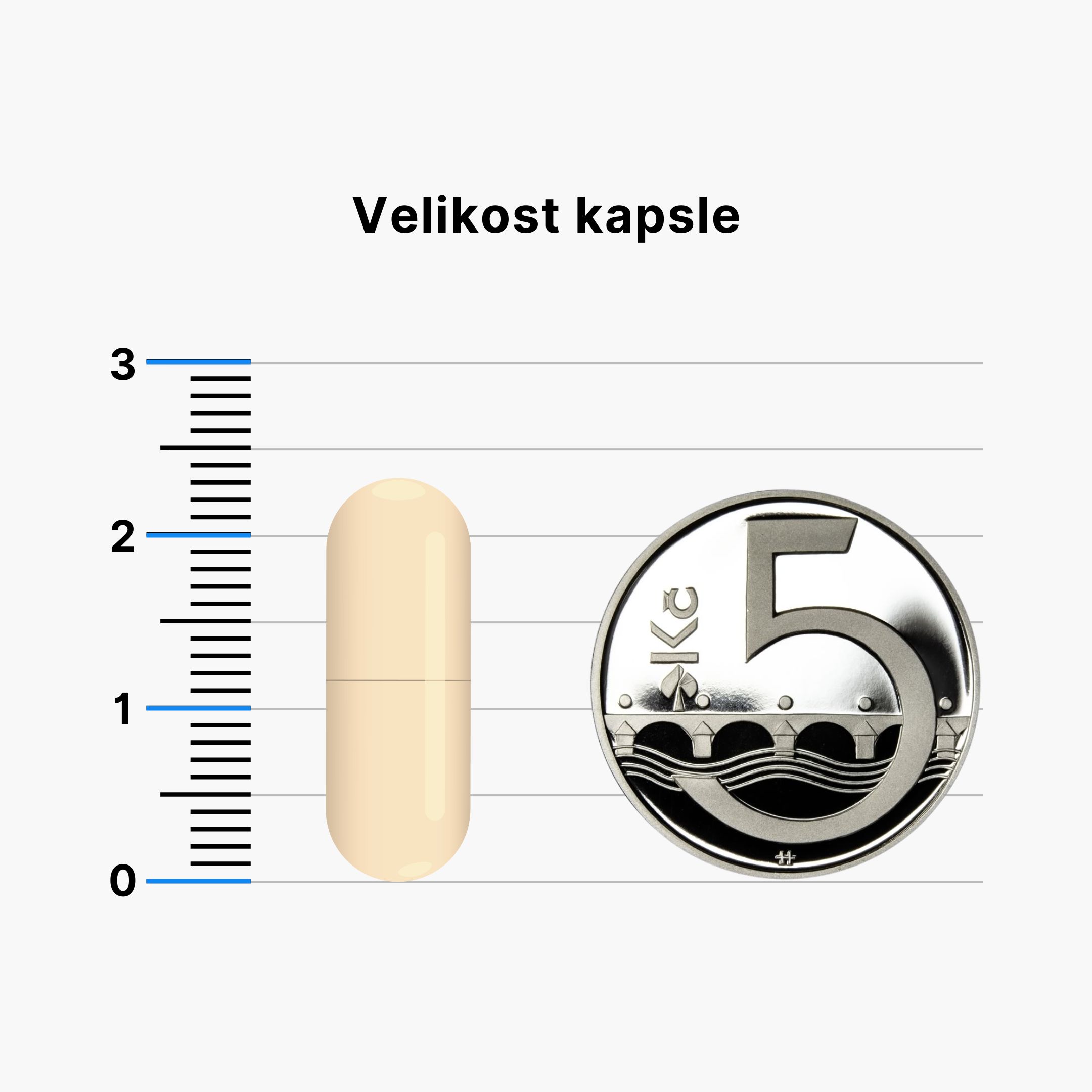 BrainMax Bone Complex, podpora zdraví kostí, 90 rostlinných kapslí Obrázek