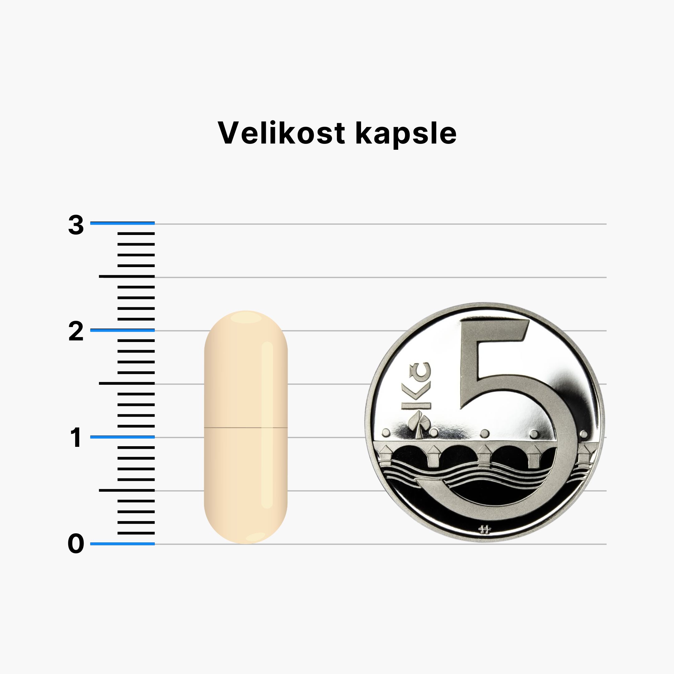 BrainMax DIM Diindolylmethan + I3C Indol-3-karbinol + CDG, 60 rostlinných kapslí Obrázek
