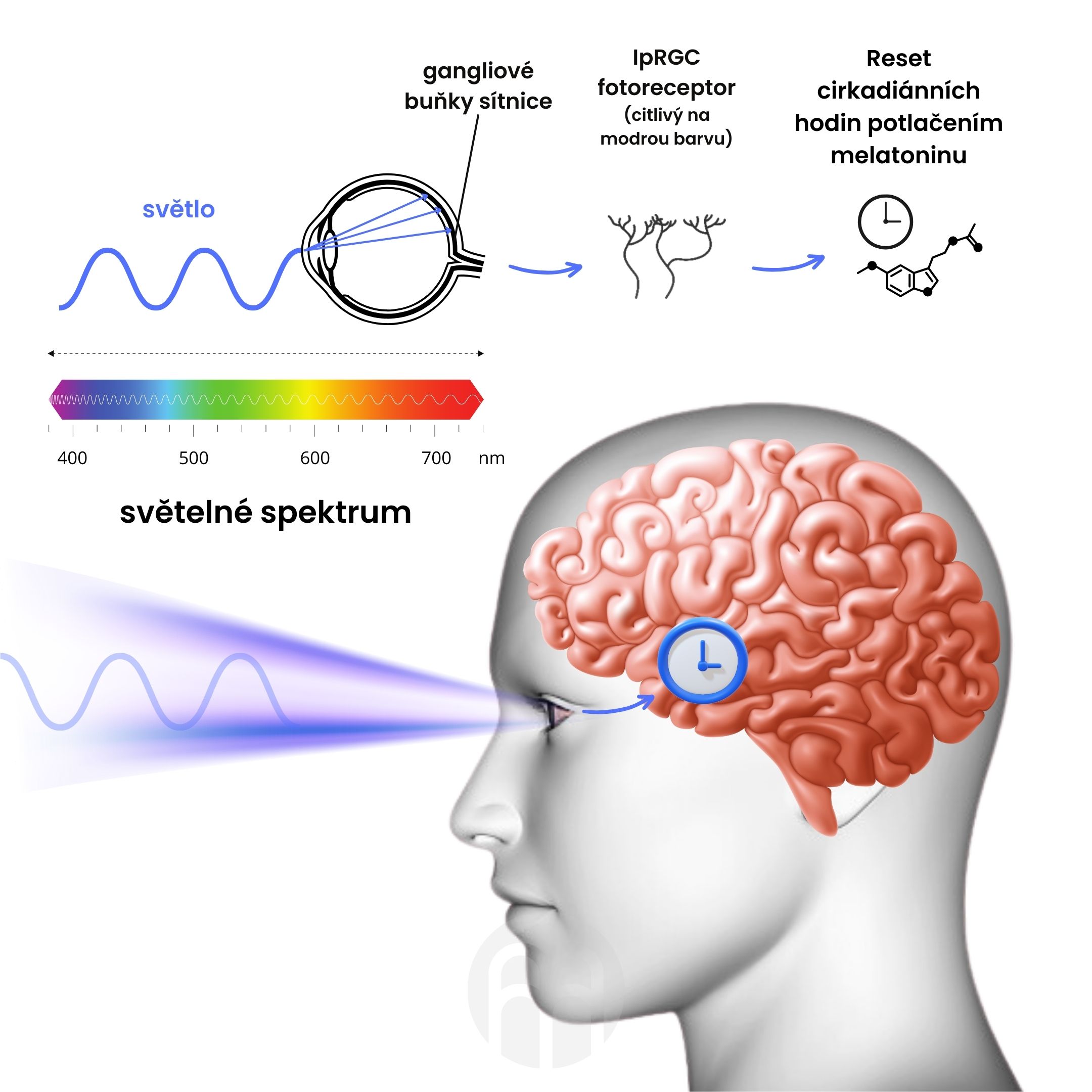 Žárovka BrainLight Amber Bulb, E14, 3 W, 1600 K Obrázek