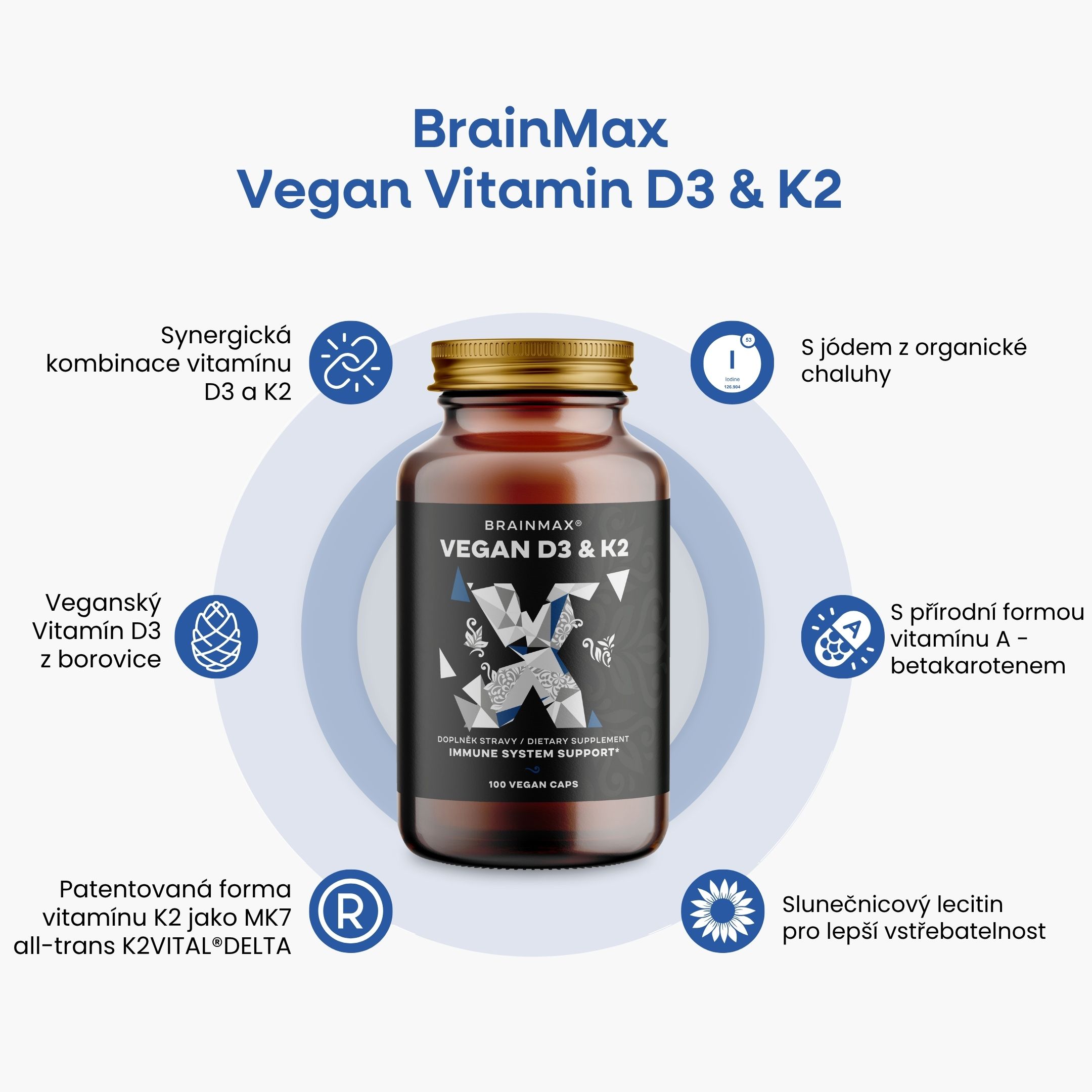BrainMax Vegan Vitamin D3 & K2 4000 IU / K2 jako MK7 all-trans K2VITAL®DELTA 150 mcg, 100 rostlinných kapslí Obrázek