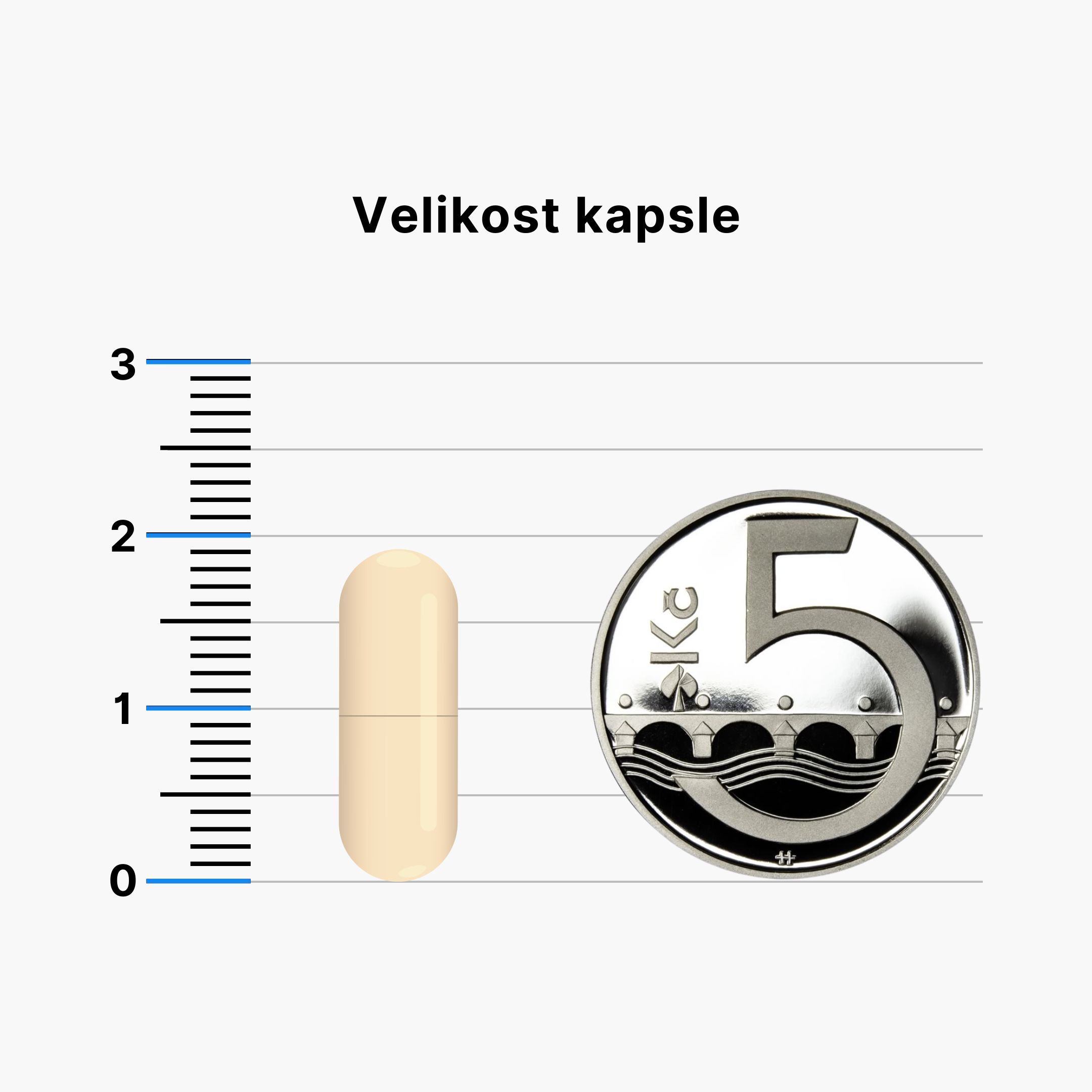 BrainMax Fisetin 100 mg, 60 rostlinných kapslí Obrázek