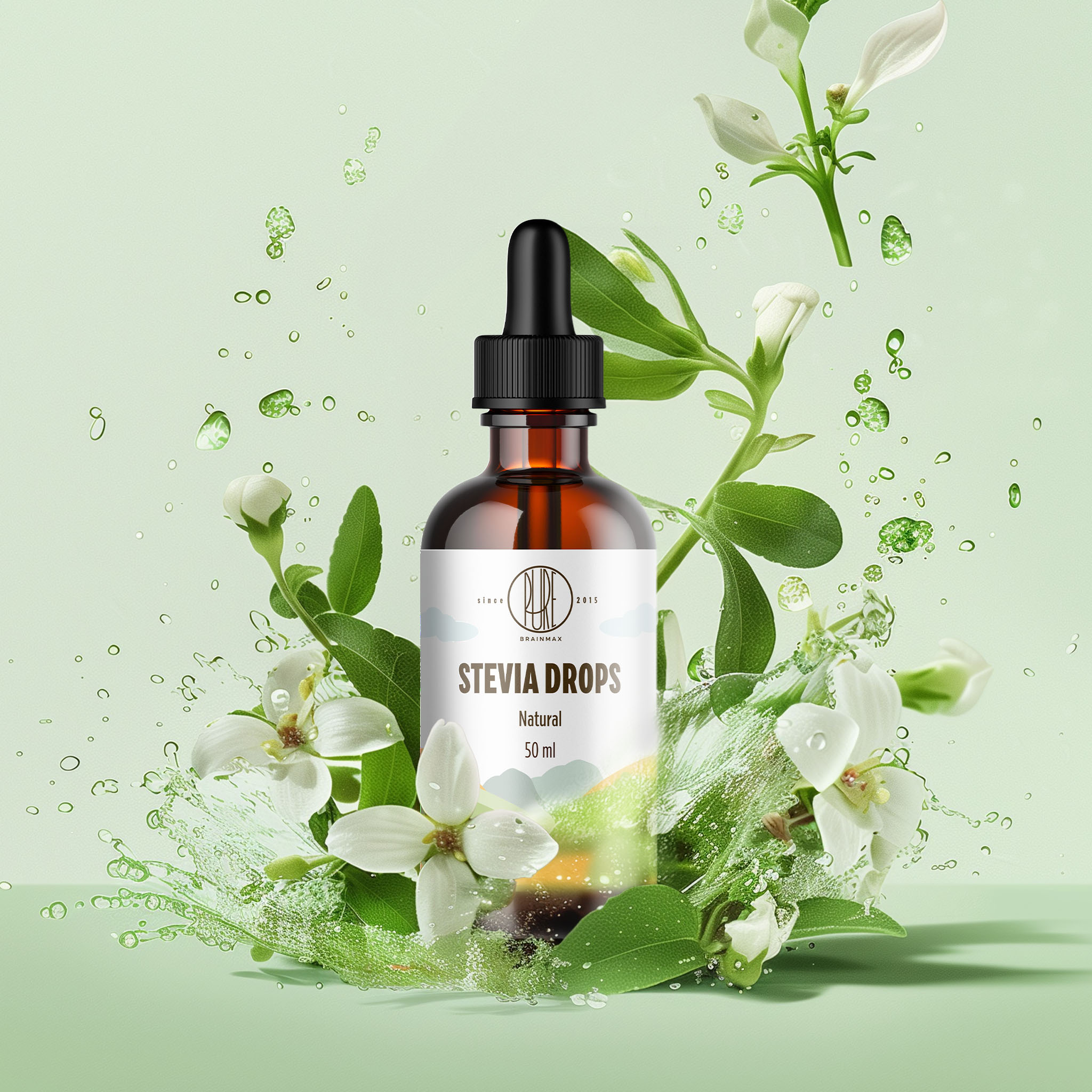 BrainMax Pure Stevia drops, Stévie kapky, různé druhy, 50 ml Příchuť: Máta Obrázek
