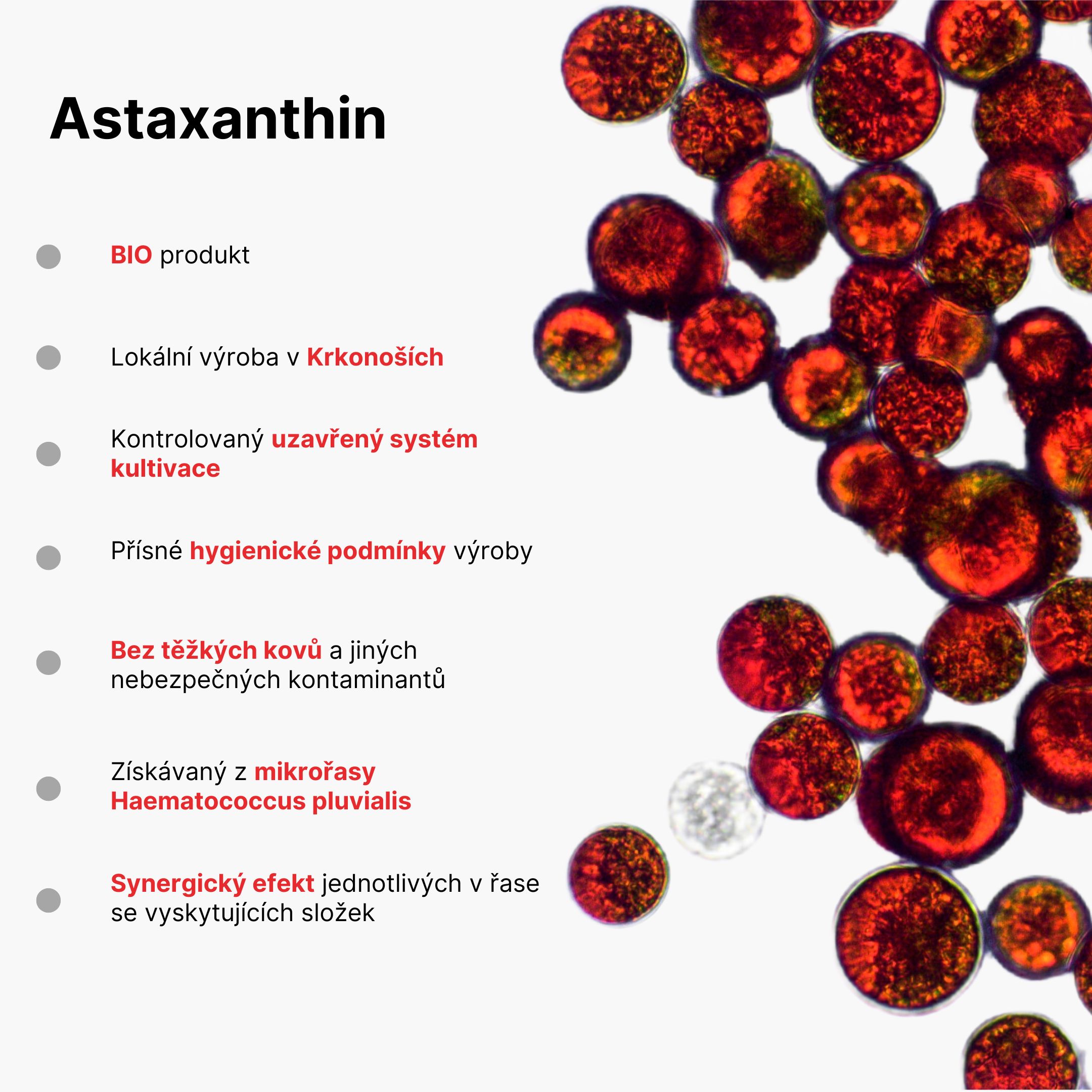 BrainMax Fish Oil & Astaxanthin, Super Omega 3, 275 ml Obrázek