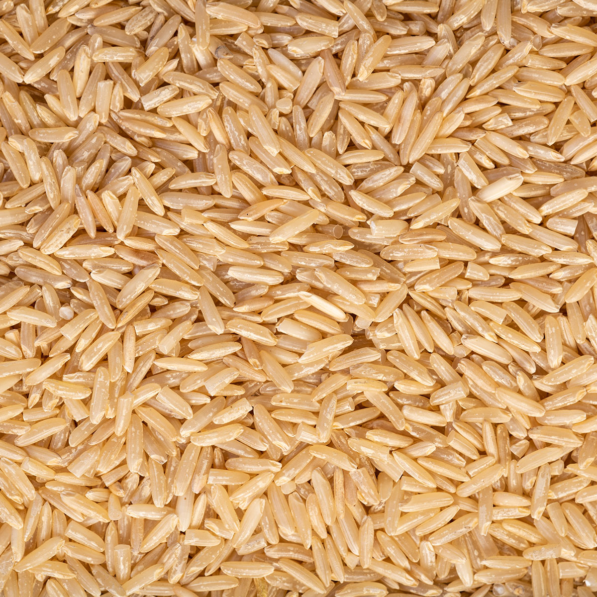 BrainMax Pure Rýže, hnědá, dlouhá BIO, 1kg Obrázek