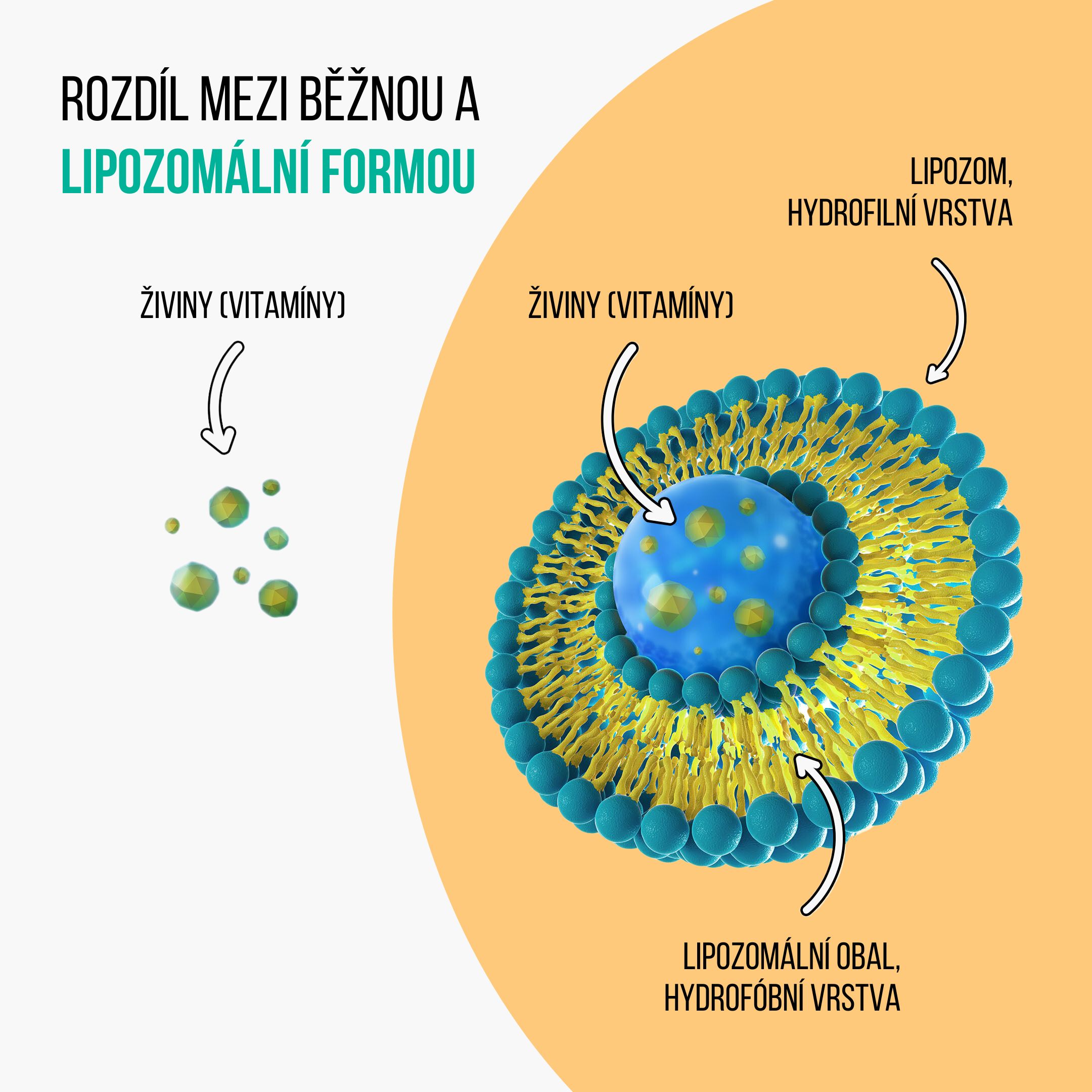 BrainMax Liquid Liposomal Vitamin C, Lipozomální Vitamín C, 250 ml Obrázek