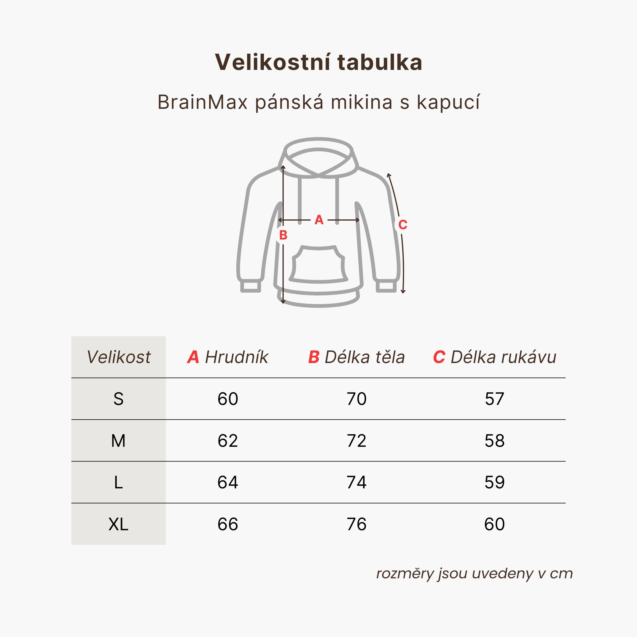BrainMax pánská mikina s kapucí, šedá Velikost: L Obrázek