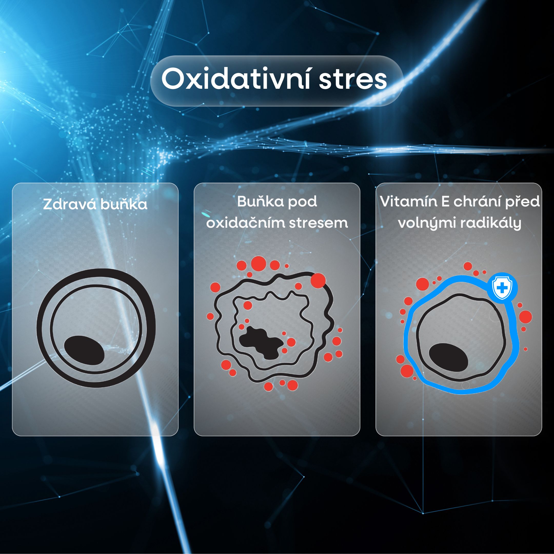 BrainMax Best Vitamin E Complex, 90 rostlinných kapslí Obrázek