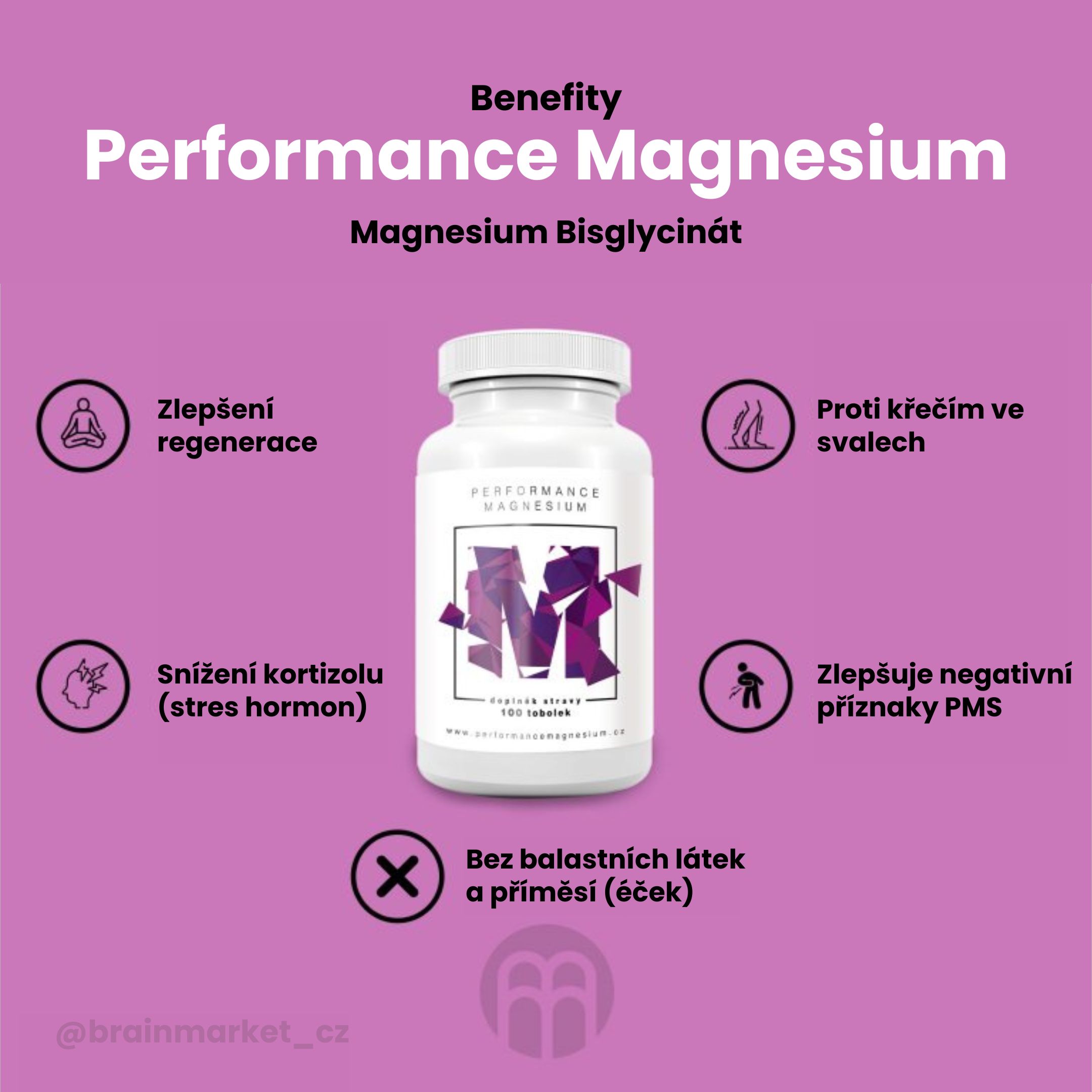 Performance Magnesium 1000 mg 100 tbl. (Hořčík + Vitamín B6) Obrázek