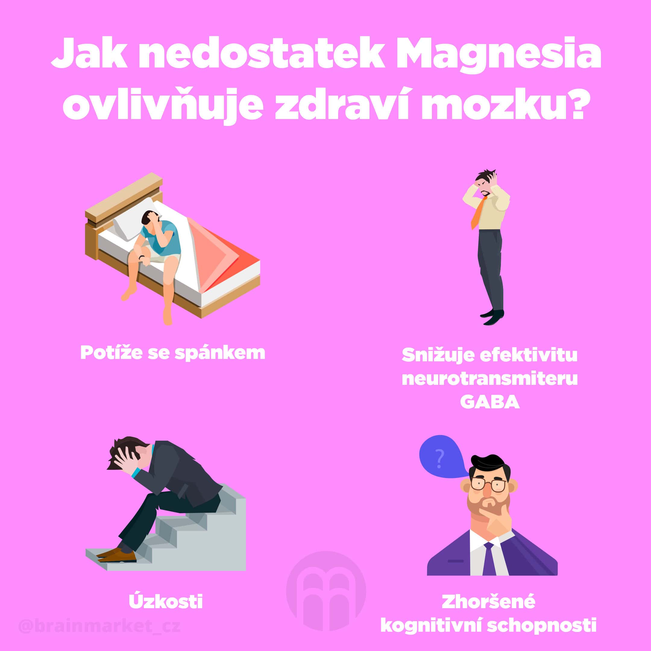 Performance Magnesium 1000 mg 100 tbl. (Hořčík + Vitamín B6) Obrázek