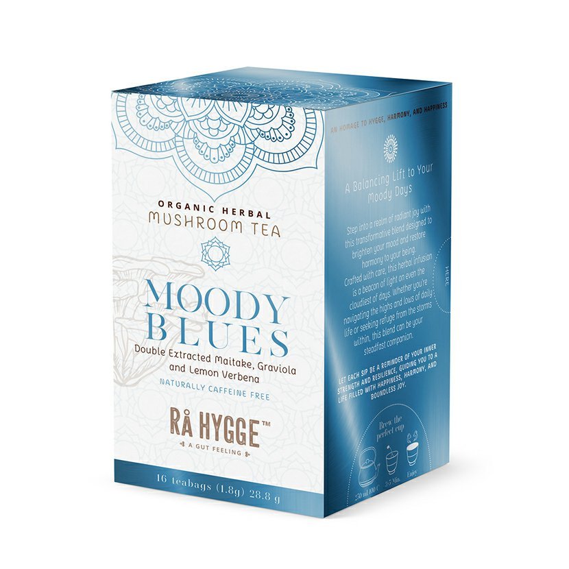 Ra Hygge Moody Blues bylinný čaj s Maitake, porcovaný, BIO, 16 ks