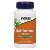 now echinacea 100