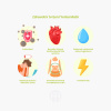 yerba mate organic 500g