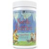 Nordic Naturals Nordic Berries Multivitamin Original Flavor 200 gummy berries