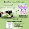 BrainMax Hydrolyzovaný Kolagen, Grass-fed Collagen , 400 g  Doplněk stravy