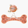 Jak Bone Complex Funguje 2