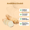 Andelika cinska grafika2