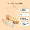 andelika