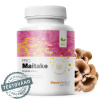 maitake detail s razitkem kopie.1025759333