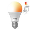 Žárovka BrainLight 4steps Bulb, E27, 7 W, 1300 - 4000 K, 4 typy světla