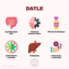 datle infografika brainpedia cz