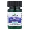 Swanson Železo (Ferrous Fumarate), 18 mg, 60 kapslí  Železo z fumaranu železnatého, doplněk stravy
