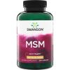 Swanson MSM, 500 mg, 250 kapslí