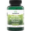 Swanson Shiitake extrakt, 500 mg, 120 kapslí