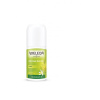 citrus 24h deo roll on (1)