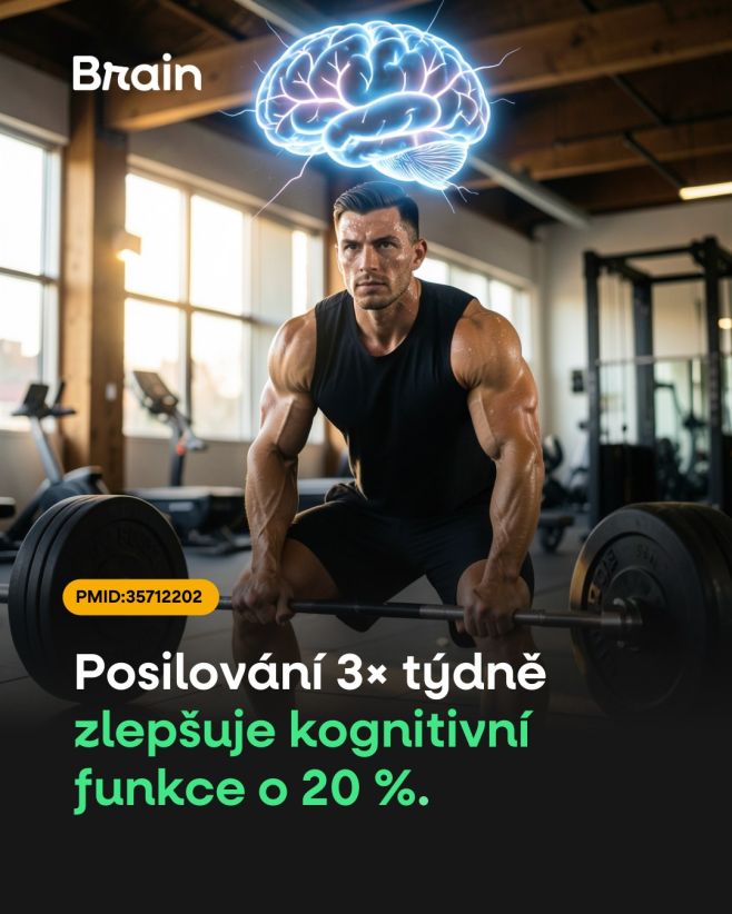 Proč posilování pomáhá nejen svalům, ale i mozku? Posilování zlepšuje mozek, protože nutí mysl pracovat, plánovat pohyb,...