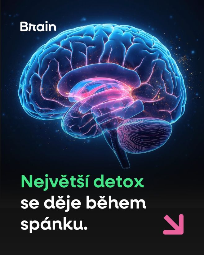Největší detox těla probíhá v noci 🌙 Tělo možná usíná, ale mozek pracuje neustále. Během hlubokého spánku přepíná do...