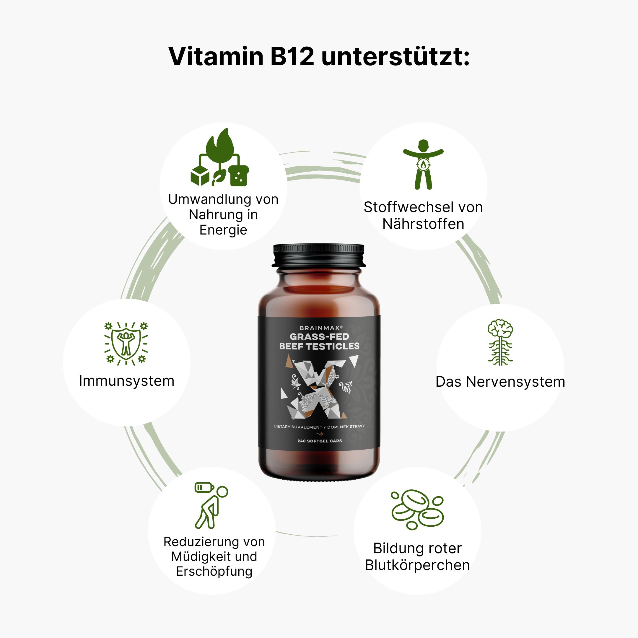(Němčina) (Slovenčina) Vitamín B12