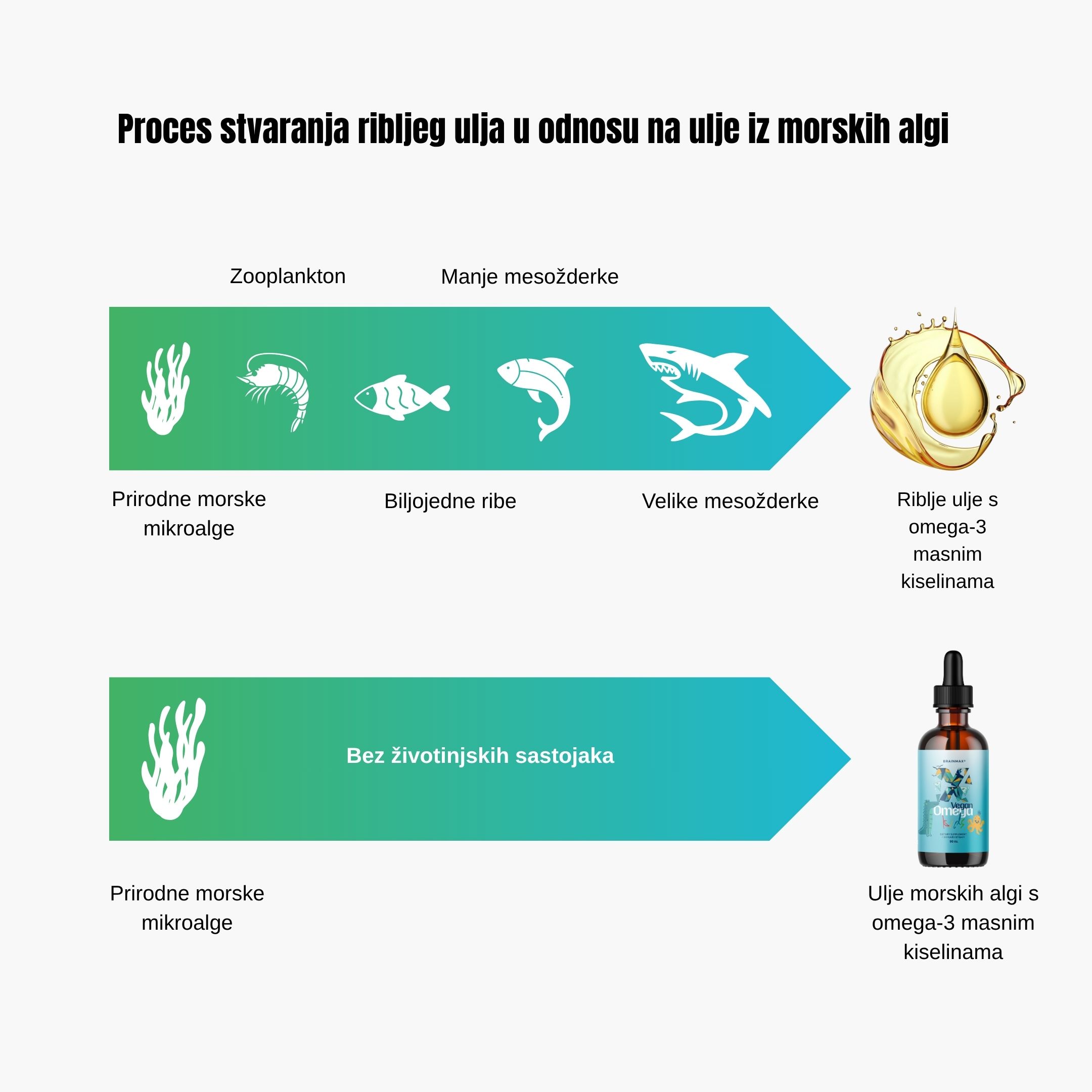 (Chorvatština) Omega kids Vzn…