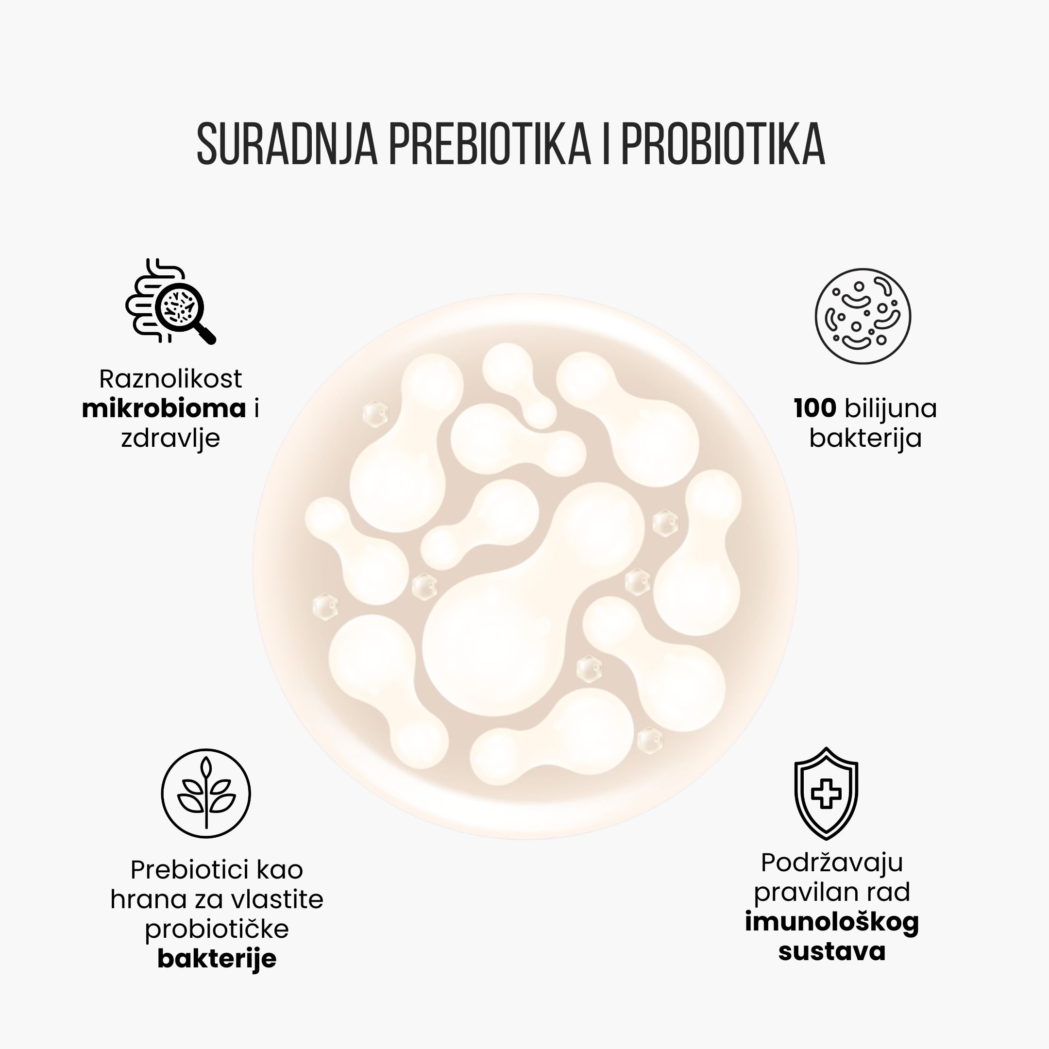 Kompleks prebiotika
