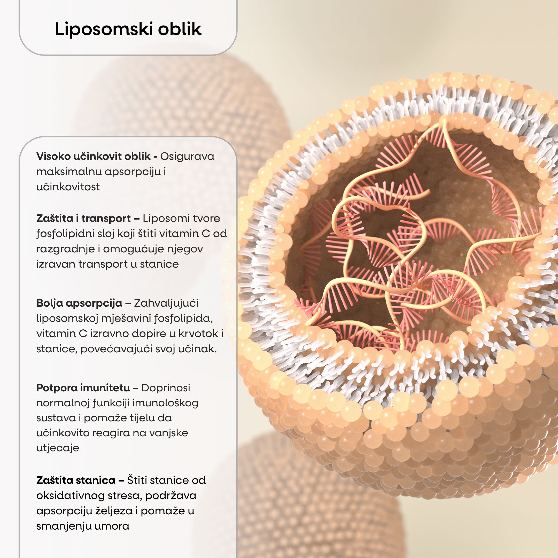 BrainMax ACDKZINC, 90 kapslí