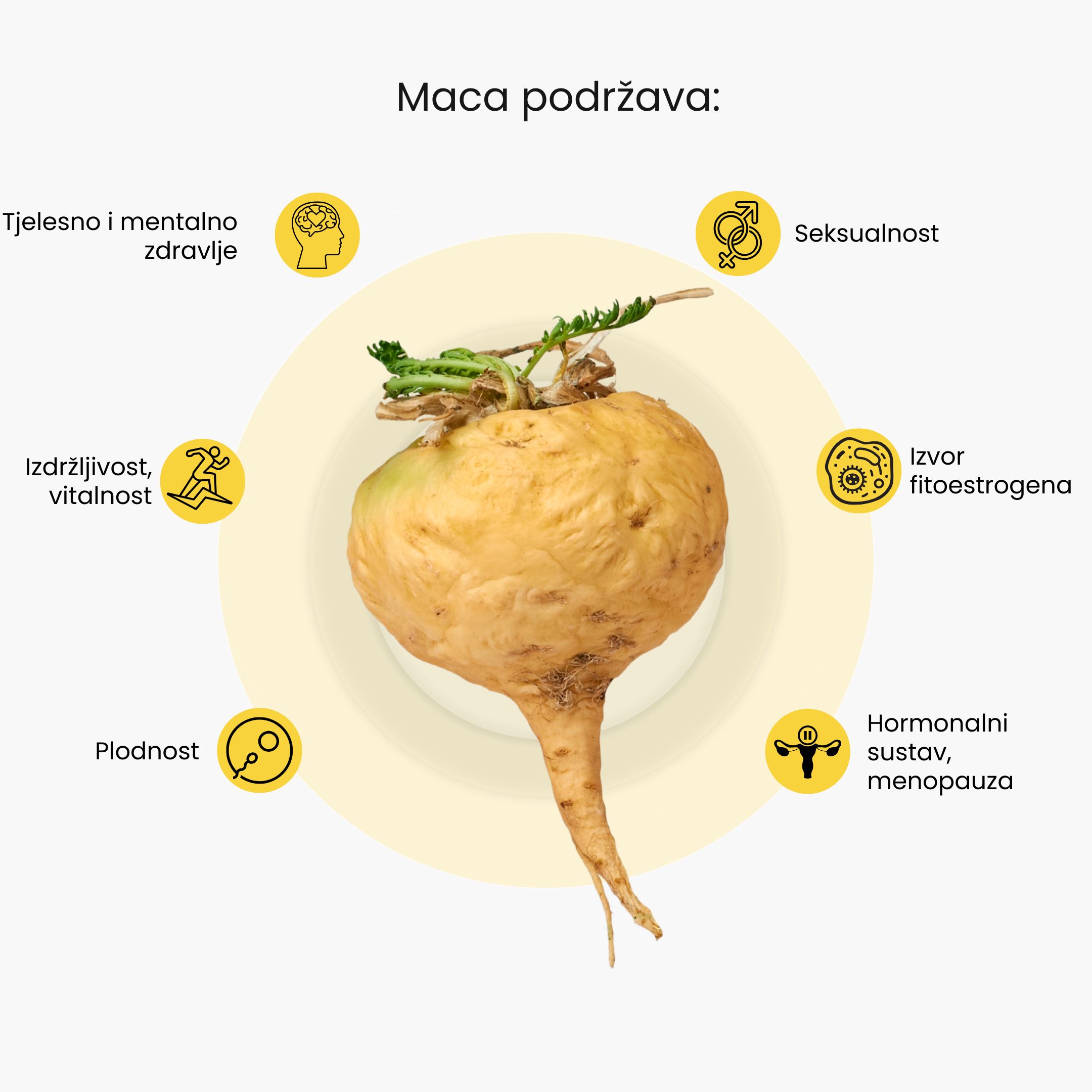 (Chorvatština) - 2024-12-01T201822.195