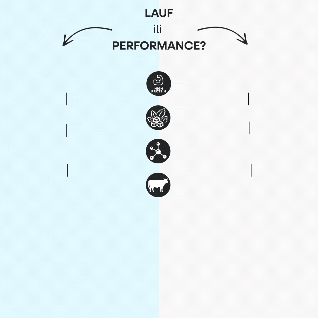 LAUF x Performance oprava