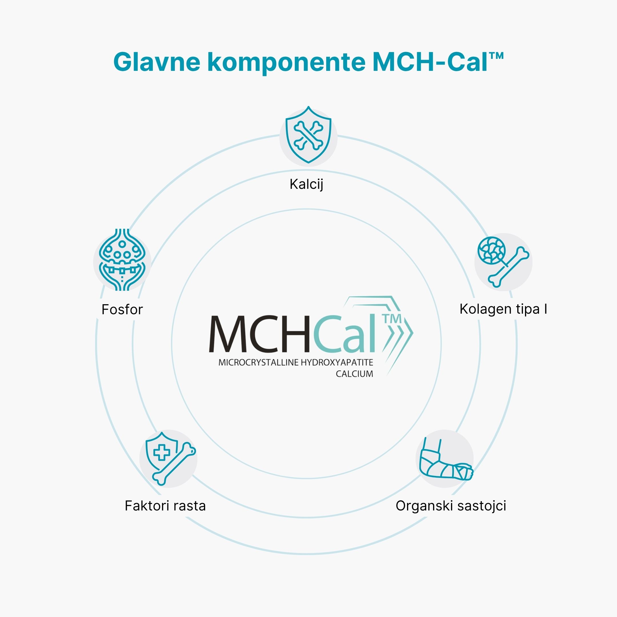 (Chorvatština) - 2025-06-12T195916.068