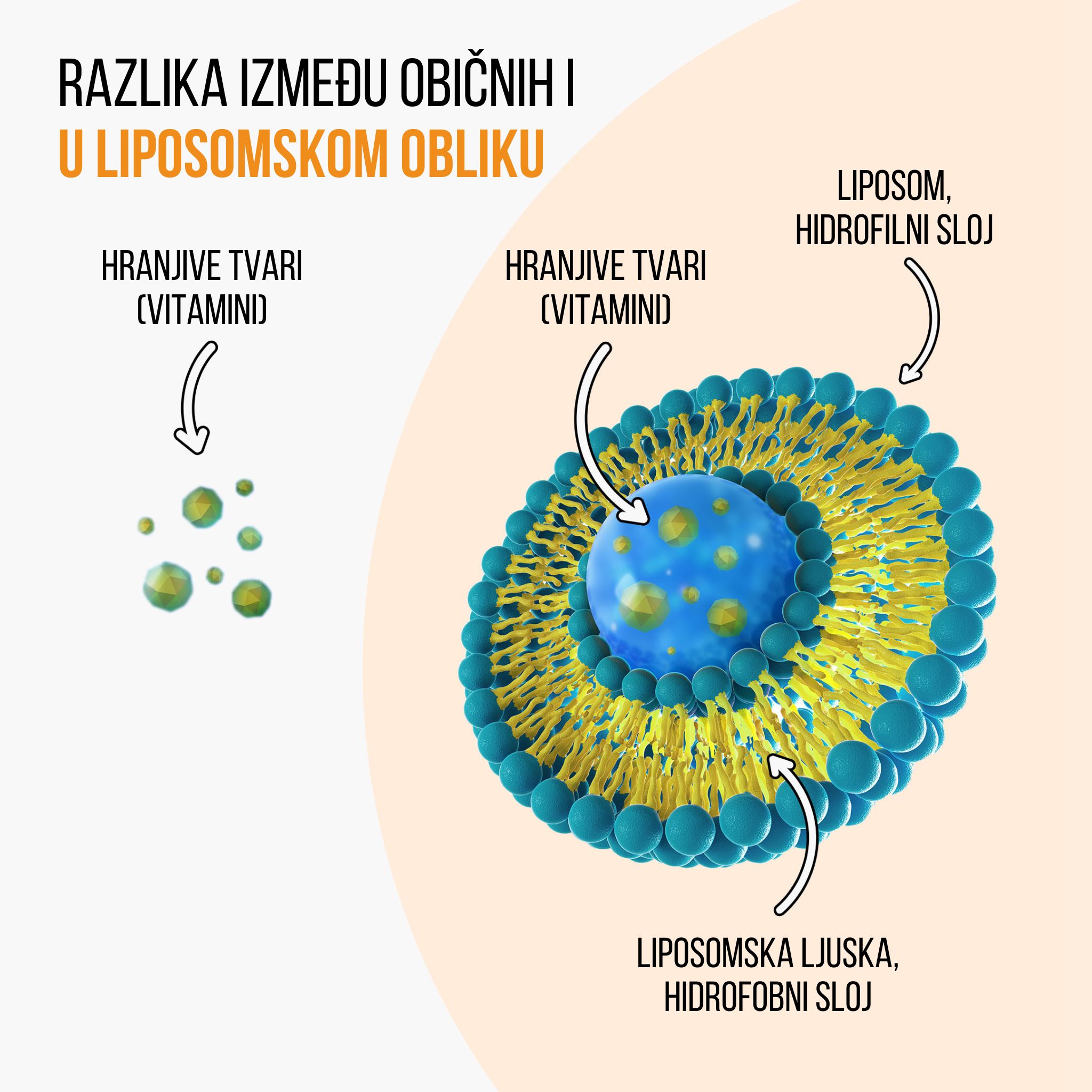 (Chorvatština) lipo vs bezna forma